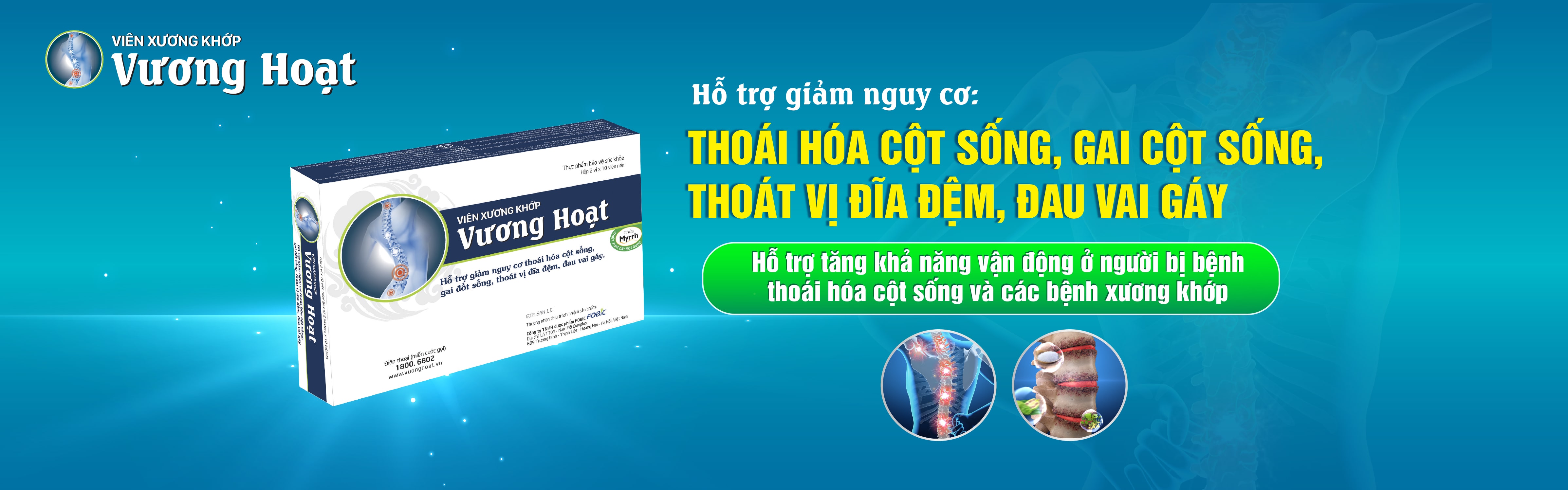 Viên xương khớp Vương Hoạt