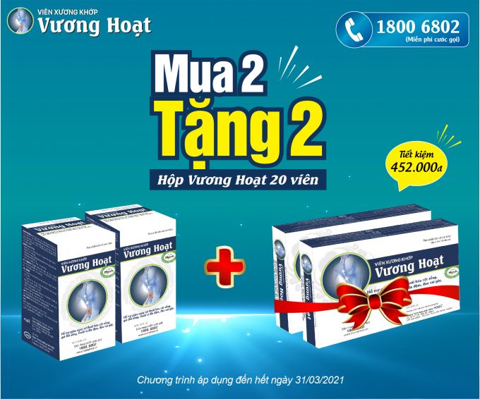 Viên xương khớp Vương Hoạt