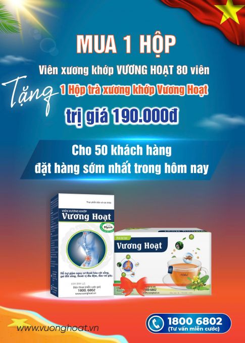 Viên xương khớp Vương Hoạt