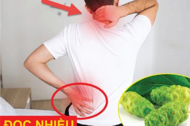 Viên xương khớp Vương Hoạt Viên xương khớp Vương Hoạt