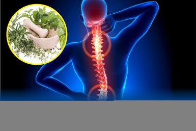 Viên xương khớp Vương Hoạt  Viên xương khớp Vương Hoạt