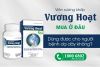 Viên xương khớp Vương Hoạt Viên xương khớp Vương Hoạt